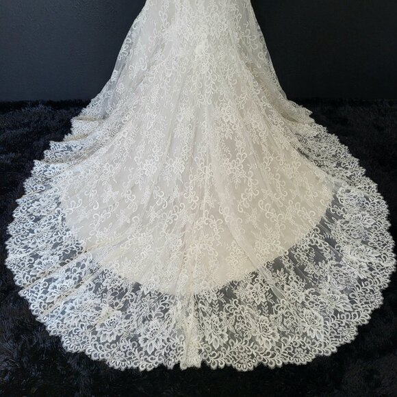 NWT~$1999~ELLA ROSA~SZ 6/8~IVORY OYSTER LACE FIT & FLARE WEDDING DRESS GOWN - Picture 13 of 16
